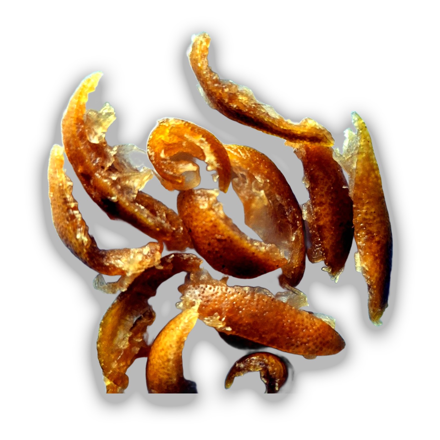 Dehydrated Lemon Peel